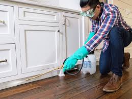 Best Real Estate Pest Inspections  in Owings, MD